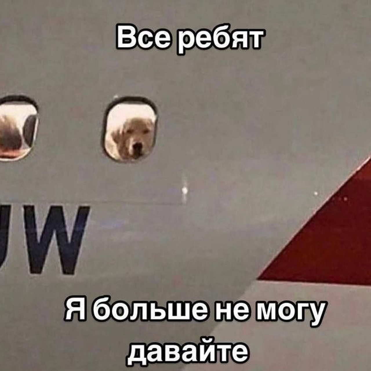 Доска прослезившихся