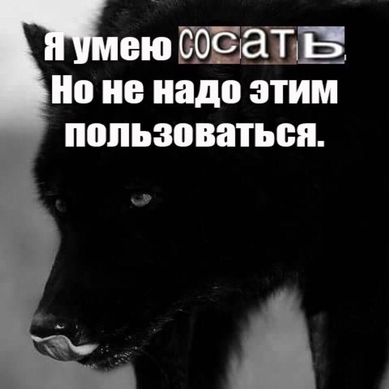 Доска прослезившихся