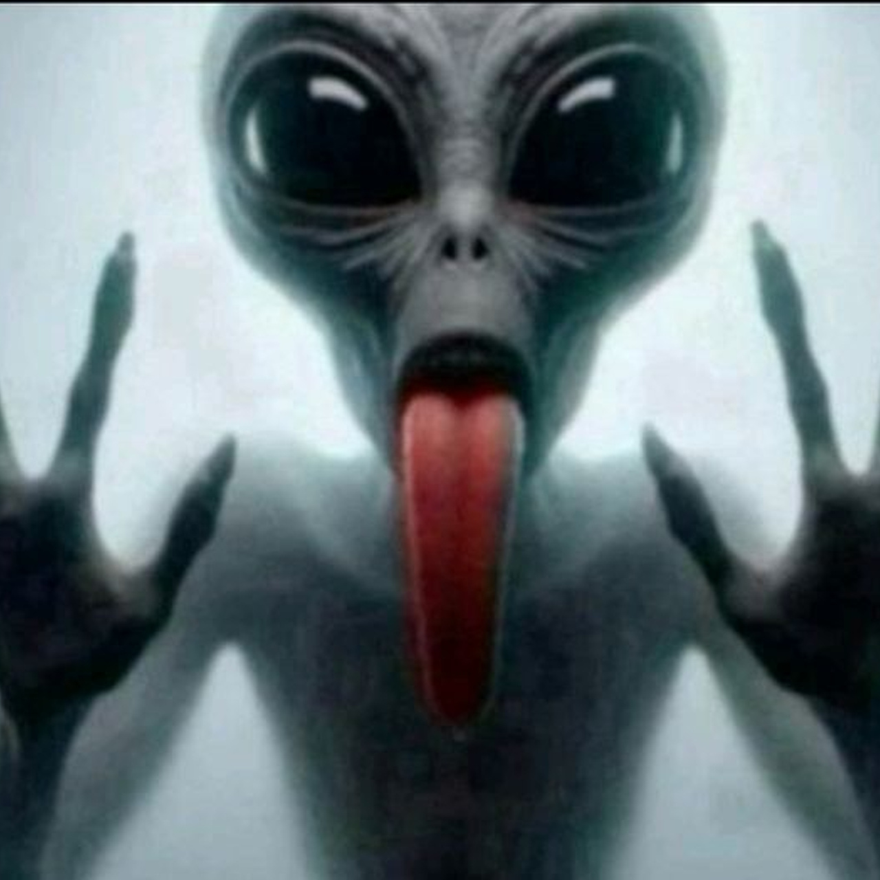 Доска прослезившихся