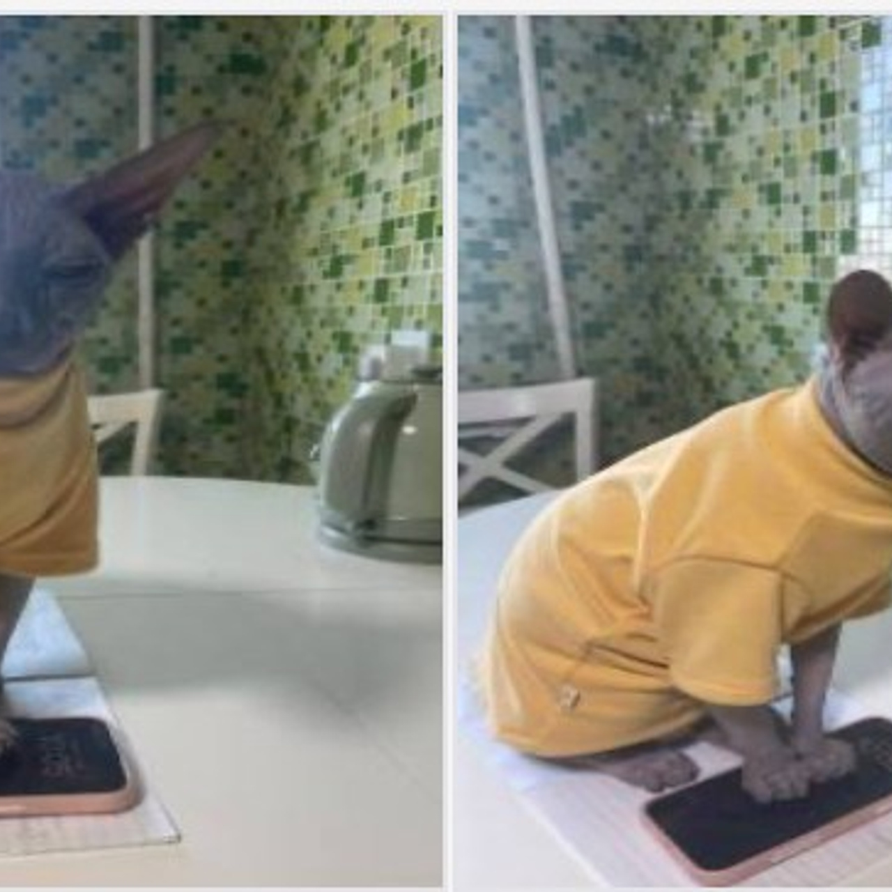 Доска прослезившихся