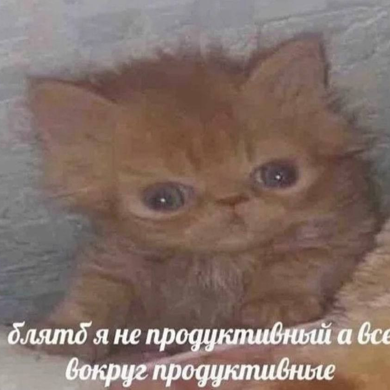 Доска прослезившихся. Wife Material