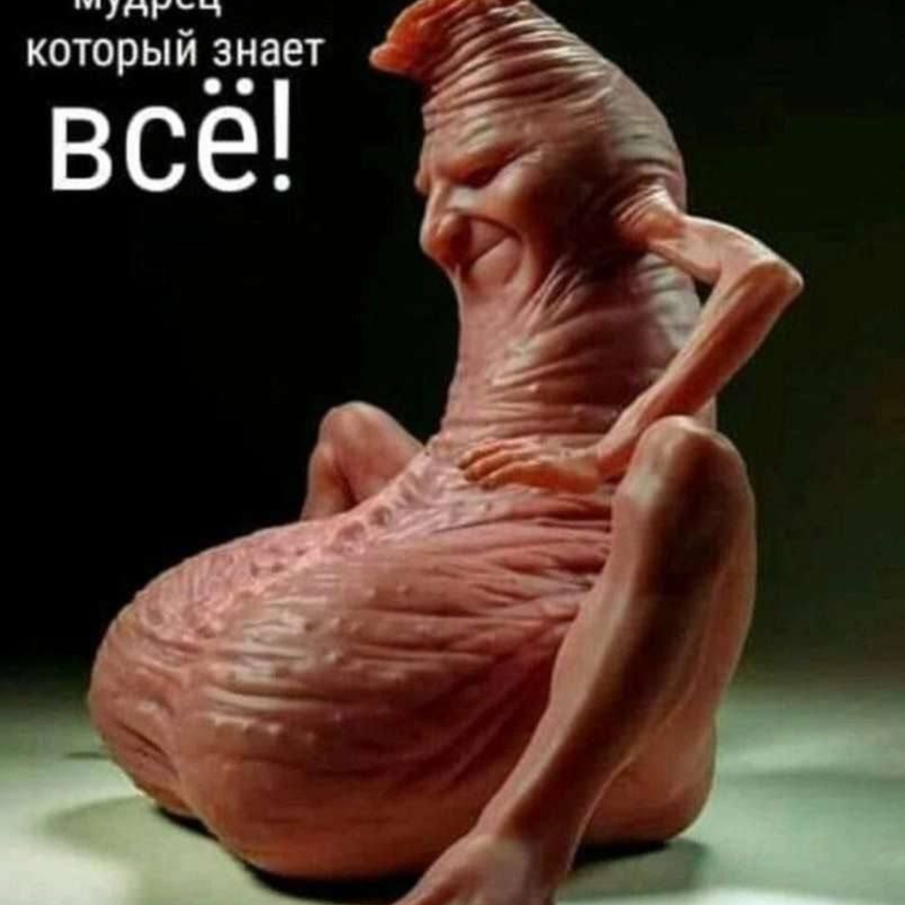 Доска прослезившихся. Wife Material