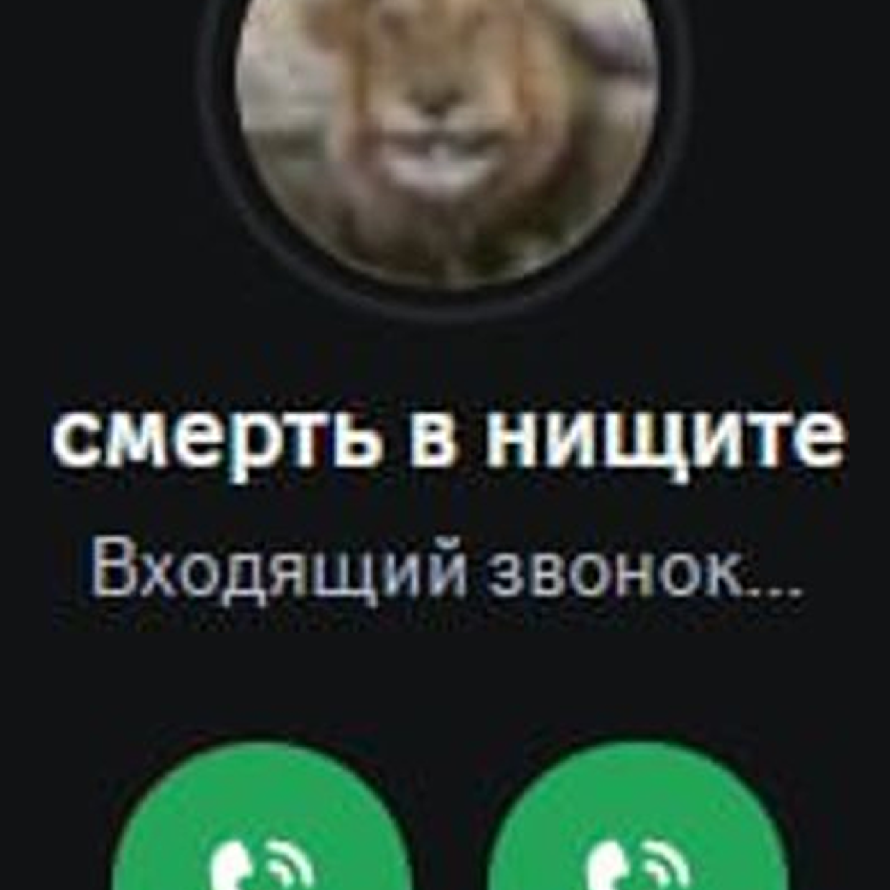 Доска прослезившихся