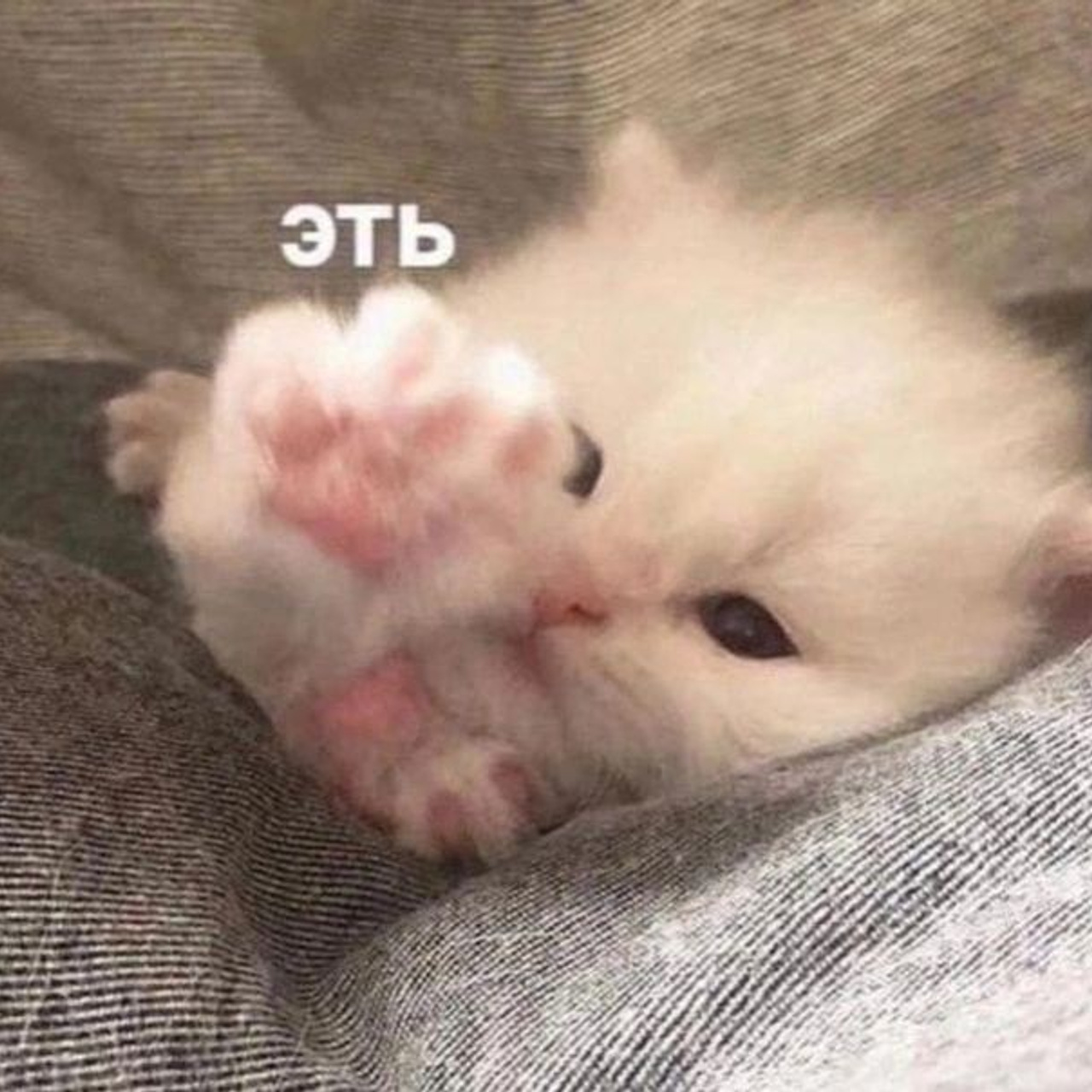 Доска прослезившихся