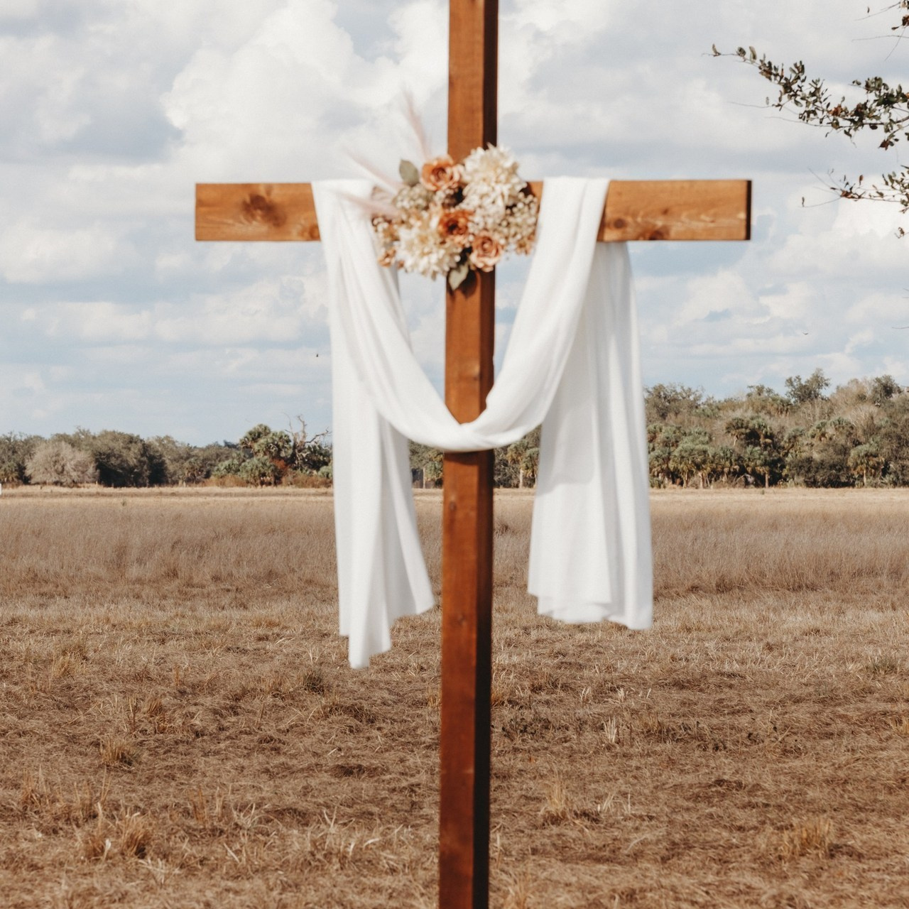 Reviews. Your Florida Photographer | North Port | Port Charlotte | Venice | Sarasota | Maria Leonova Photography