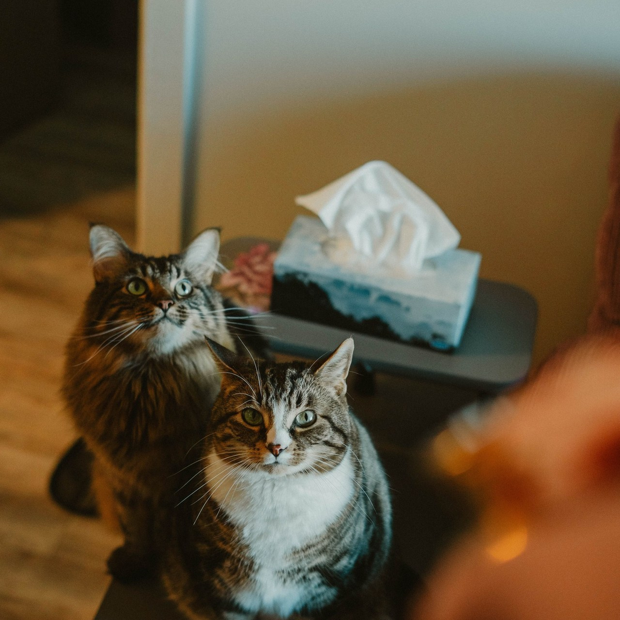 Testimonials. Abluecat photography