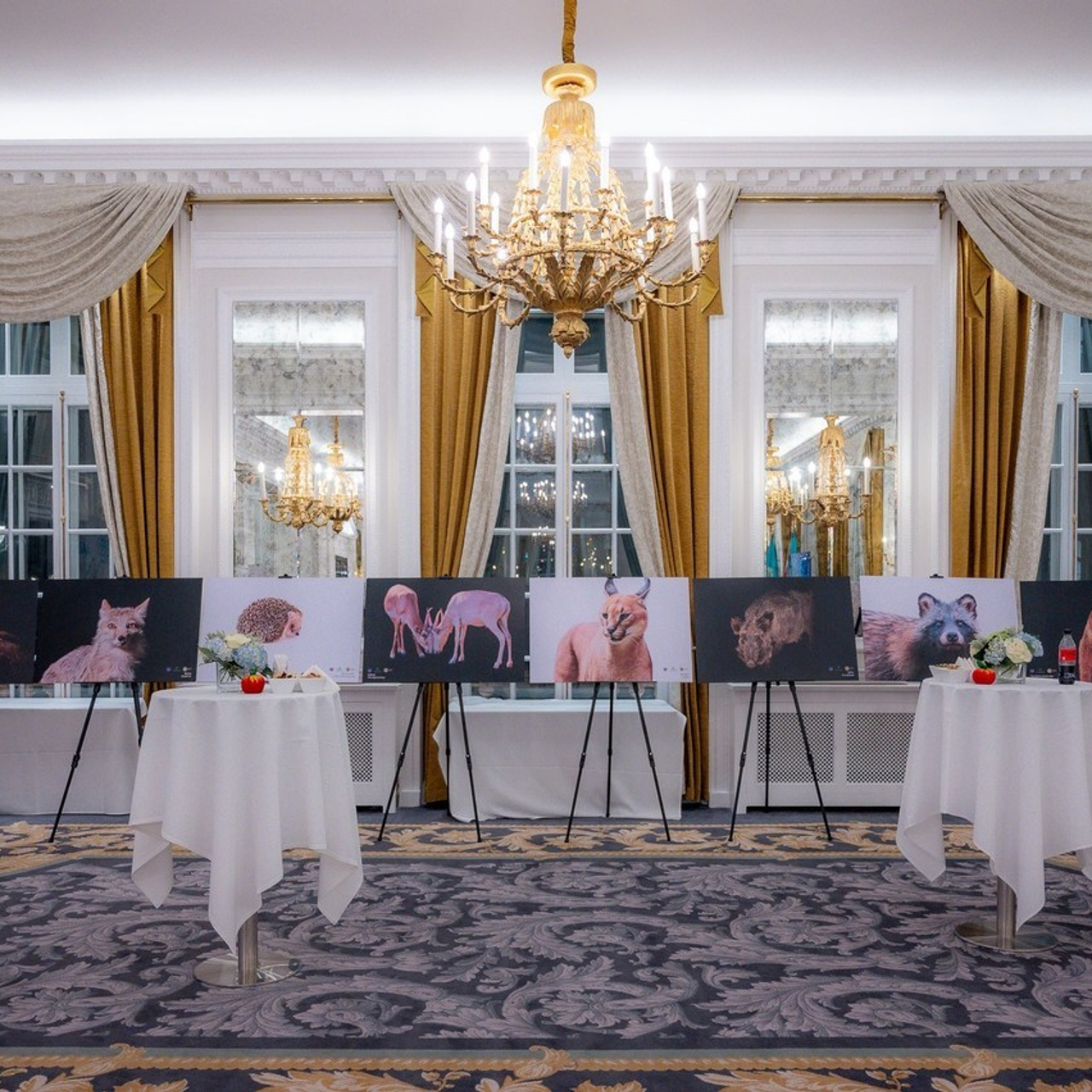 Testimonials. Family and event photographer in London Aigerim Qali