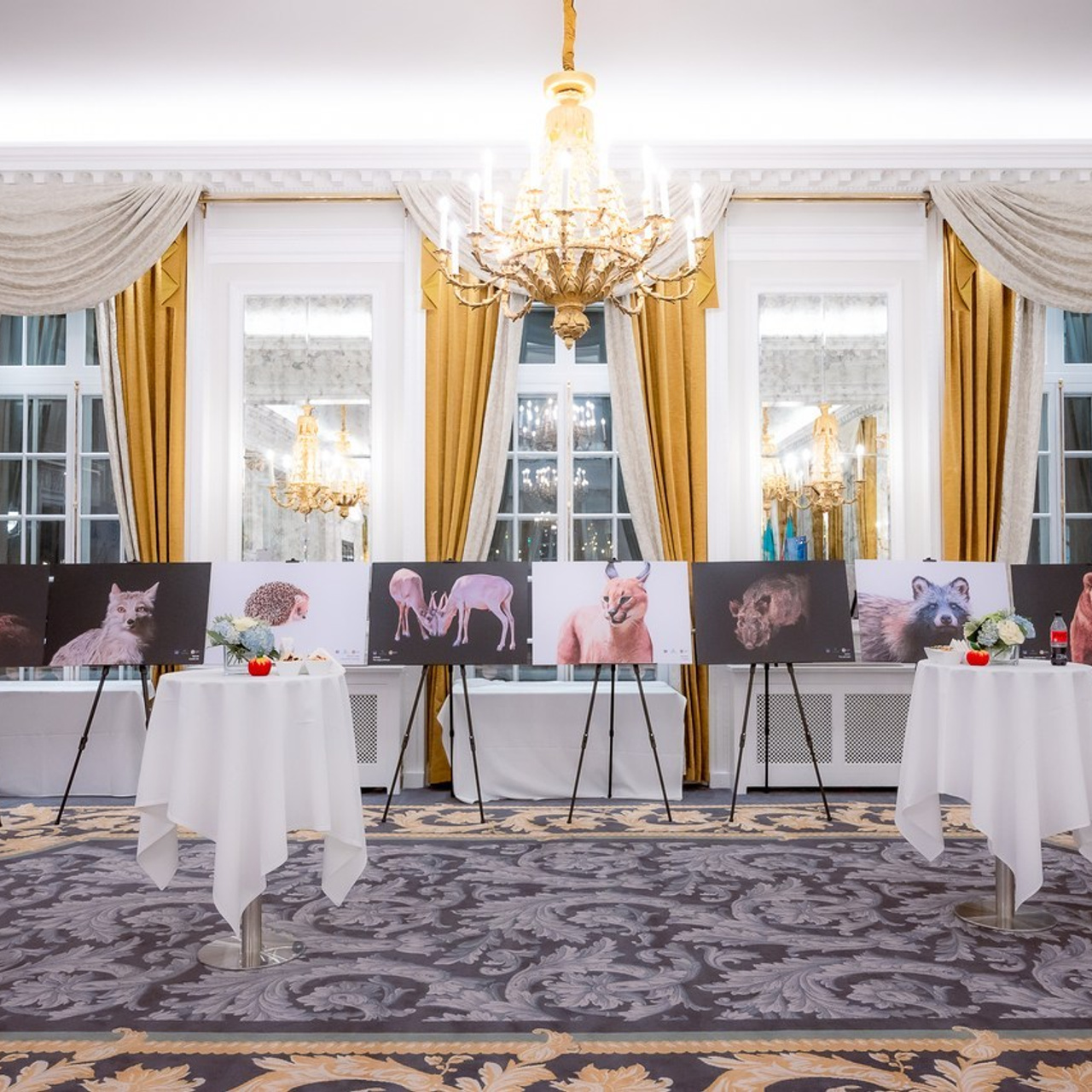 Family and event photographer in London Aigerim Qali