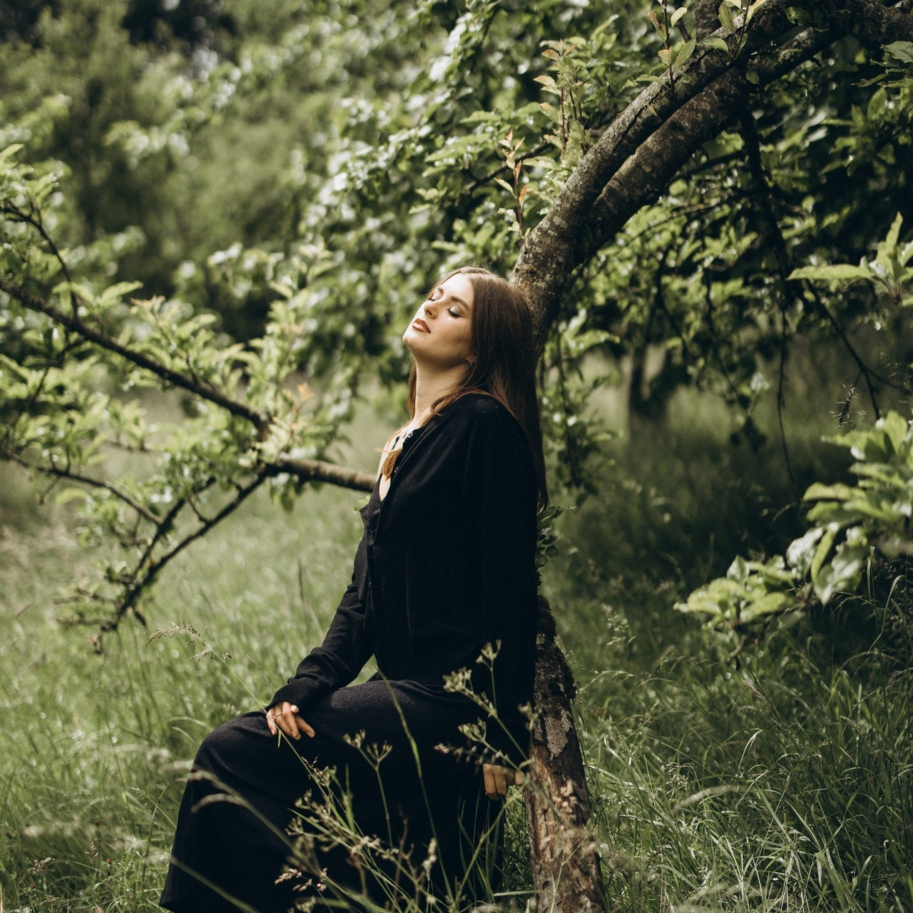 Alinalife Northamptonshire photographer reviews