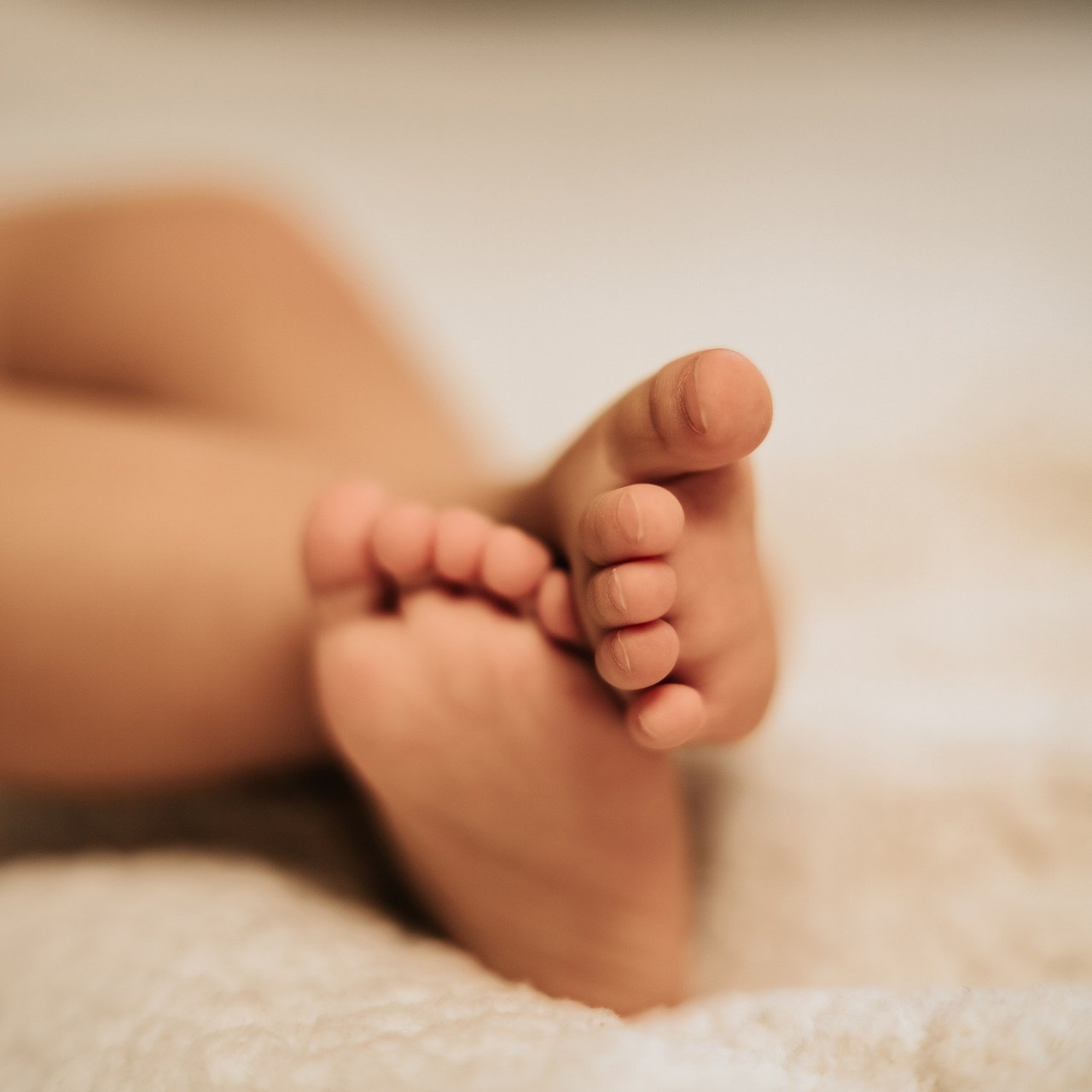 Отзывы. PRIME STUDIO