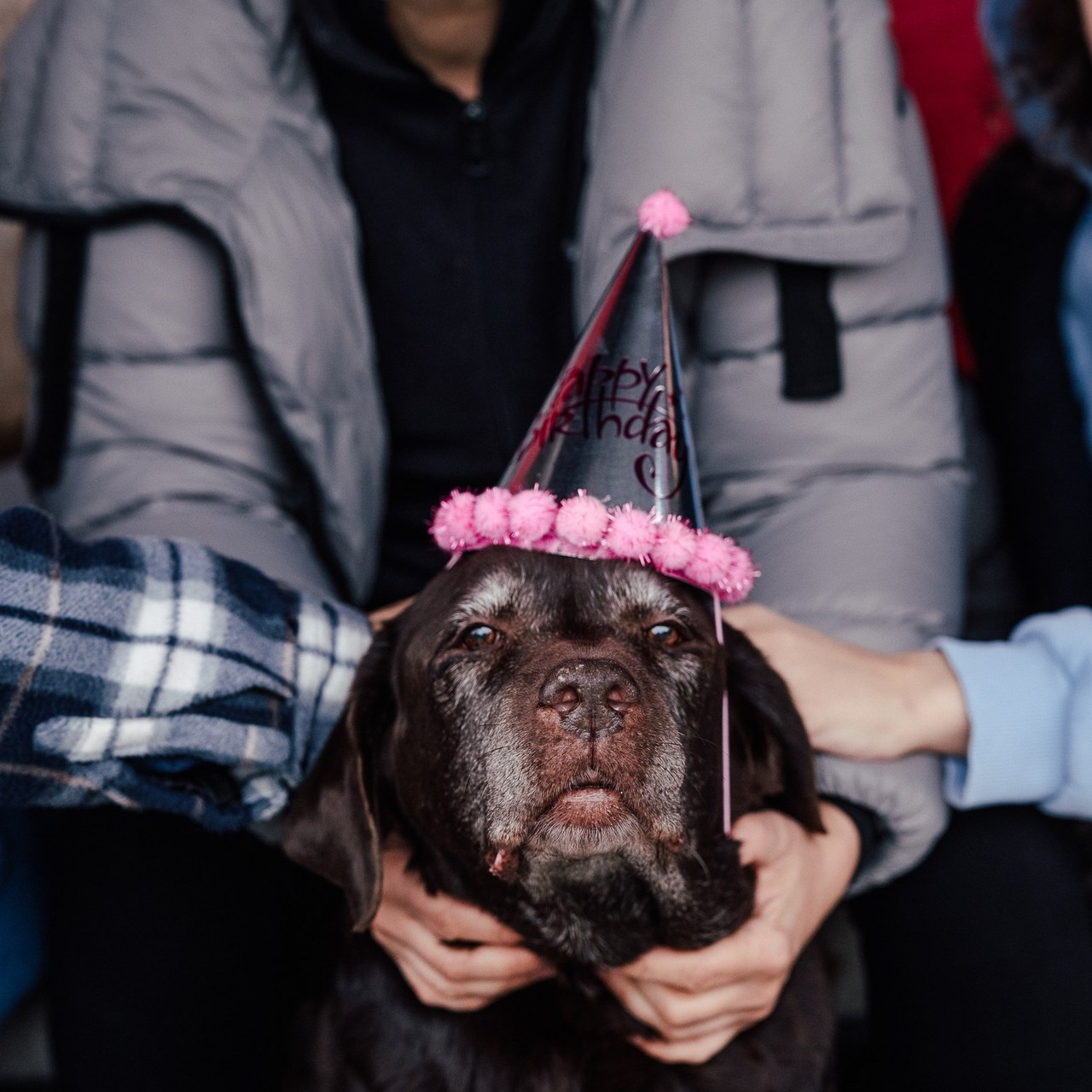 Customer’s feedback. Olga Tenigina Environmental Fine Art Portrait Photographer | Geneva, Switzerland