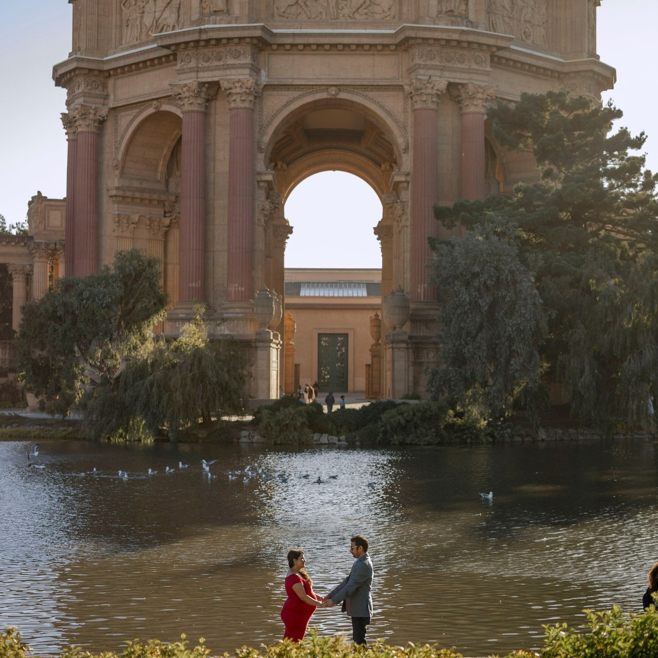 Reviews and recommendations. Bay Area Photographer: family, maternity, love story, wedding