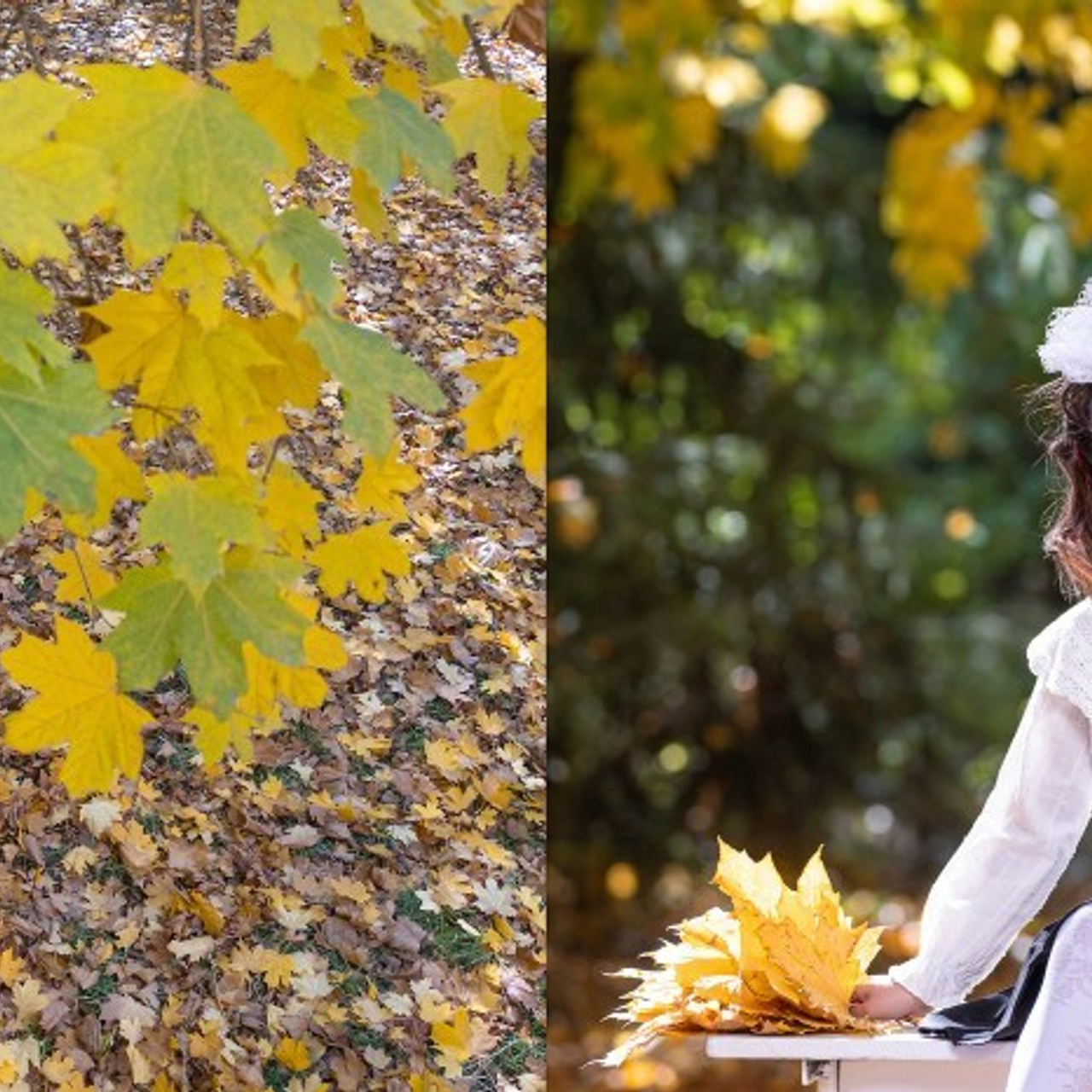 Отзывы. Профессиональный фотограф в Бишкек Сергей Зорин