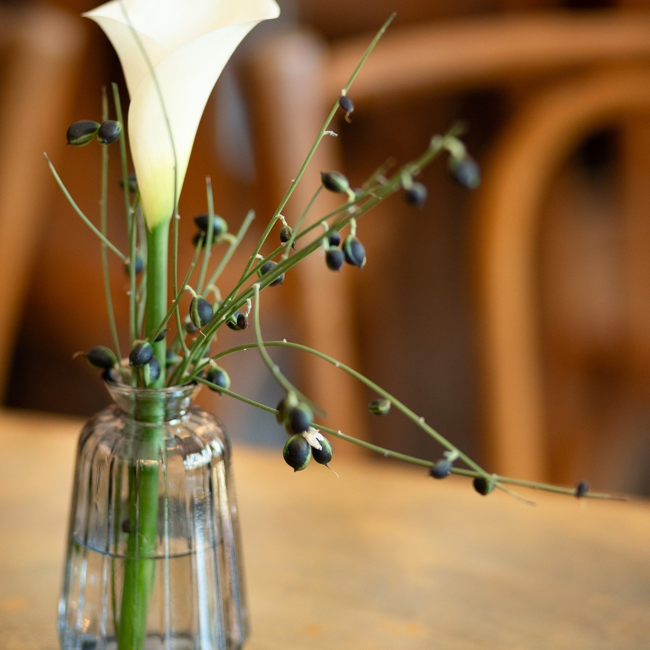 Bewertungen. Familien- und Kinderfotografin Katerina Vlasenko, München