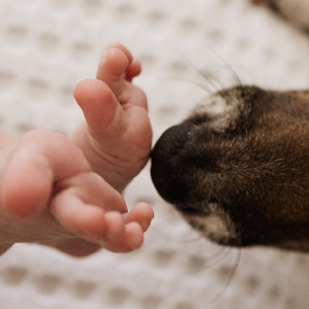 Feedback. AnaGalicPhotography