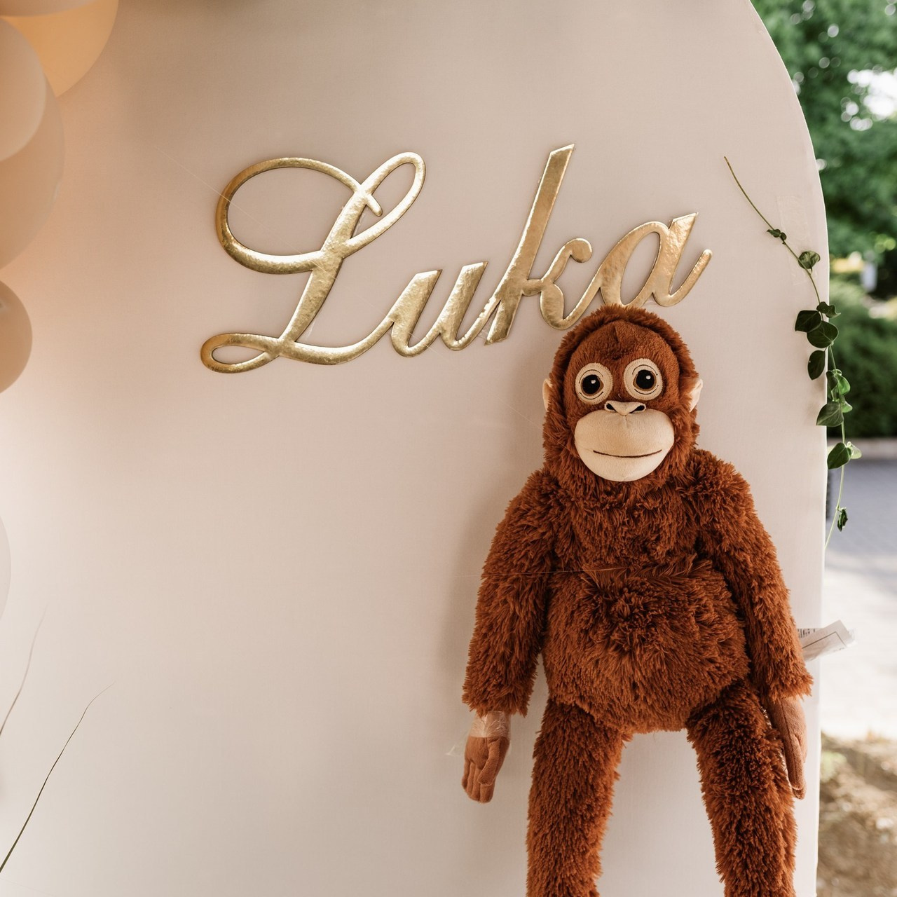 Feedback. AnaGalicPhotography