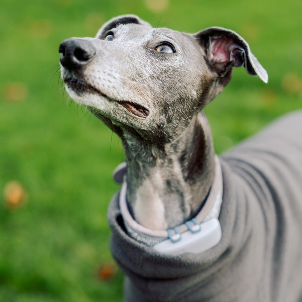 Portfolio of a Dutch Photographer — Portraits, Love Stories & More. Romantic & Soulful Photography by Natalia Olhova in Rotterdam