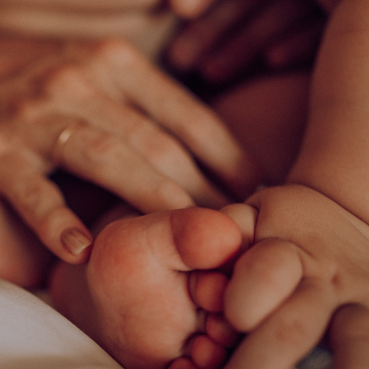 Отзывы. Семейный фотограф. Сербия. Нови-Сад. Белград