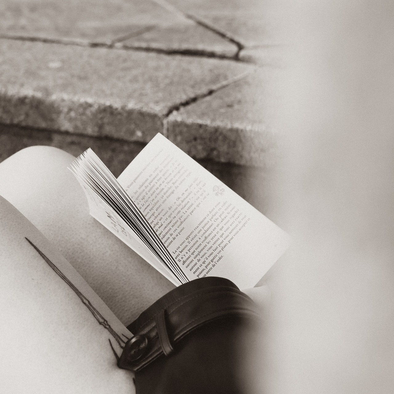 Témoignages. Photographe de mariage et famille à Nancy - studio et extérieur - MSPhotography