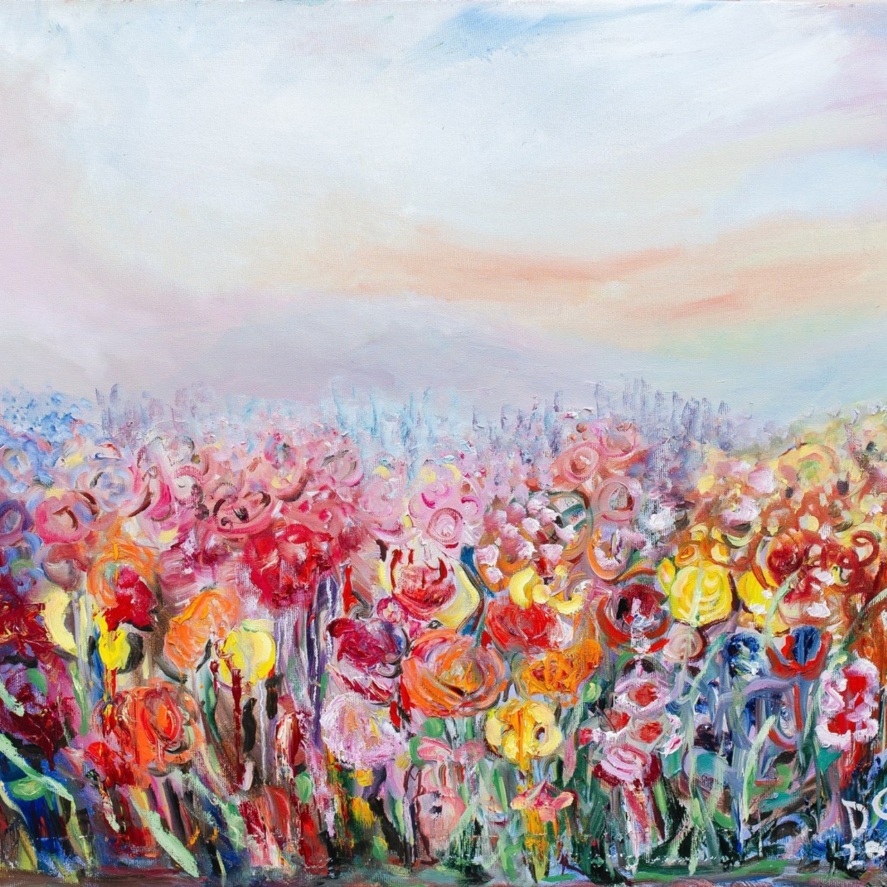 FEEDBACK. PHOTOGRAPHER IN ISRAEL