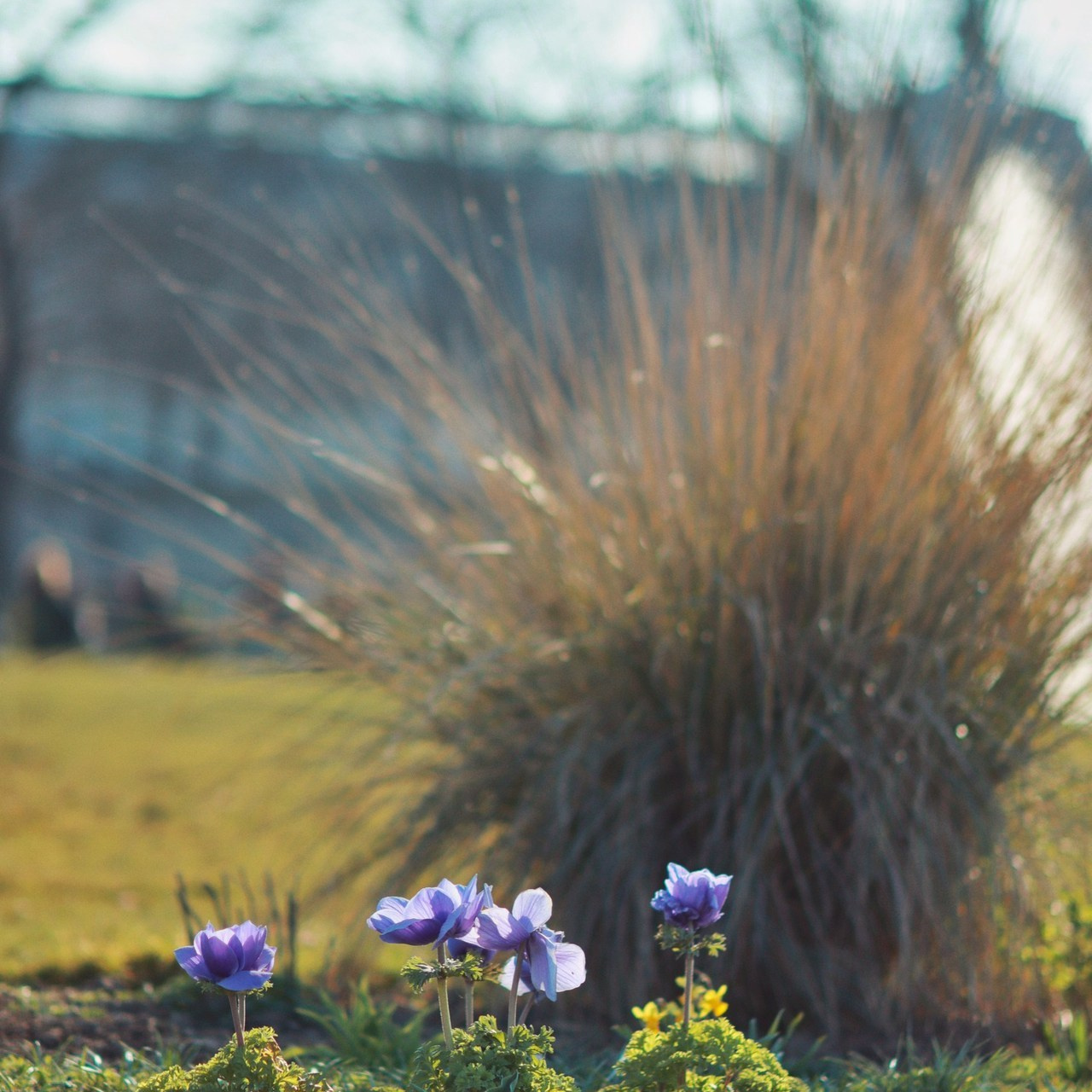 Отзывы о Валерии Комар. Фотограф в Черногории Валерия Комар
