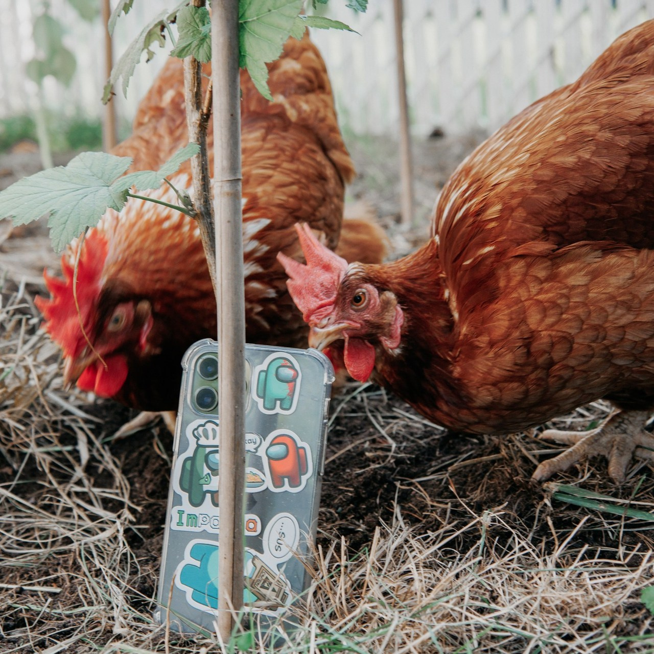 Reviews. I am a portrait and family photographer Jenny in Montreal and Calgary