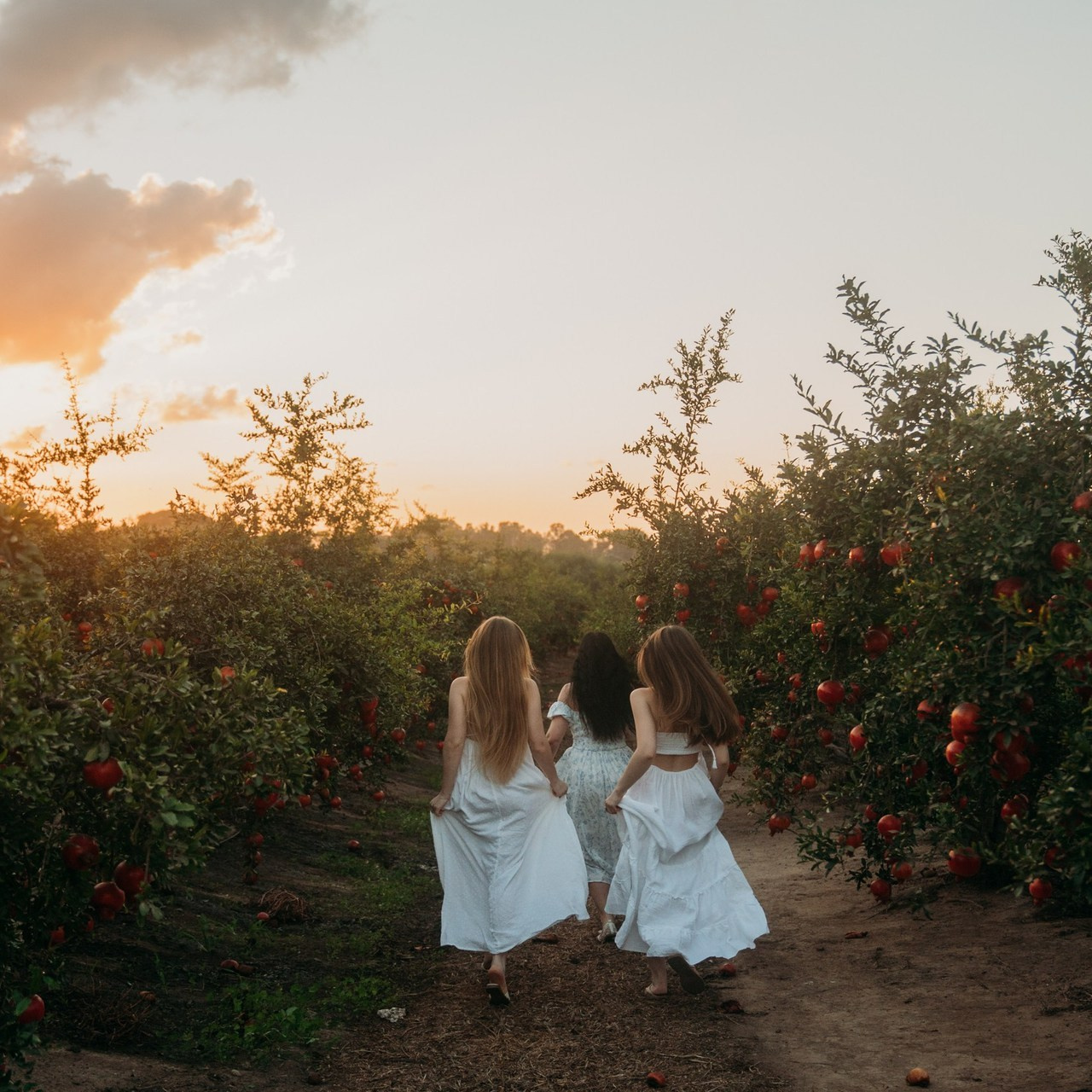 Отзывы. Семейный фотограф в Израиле