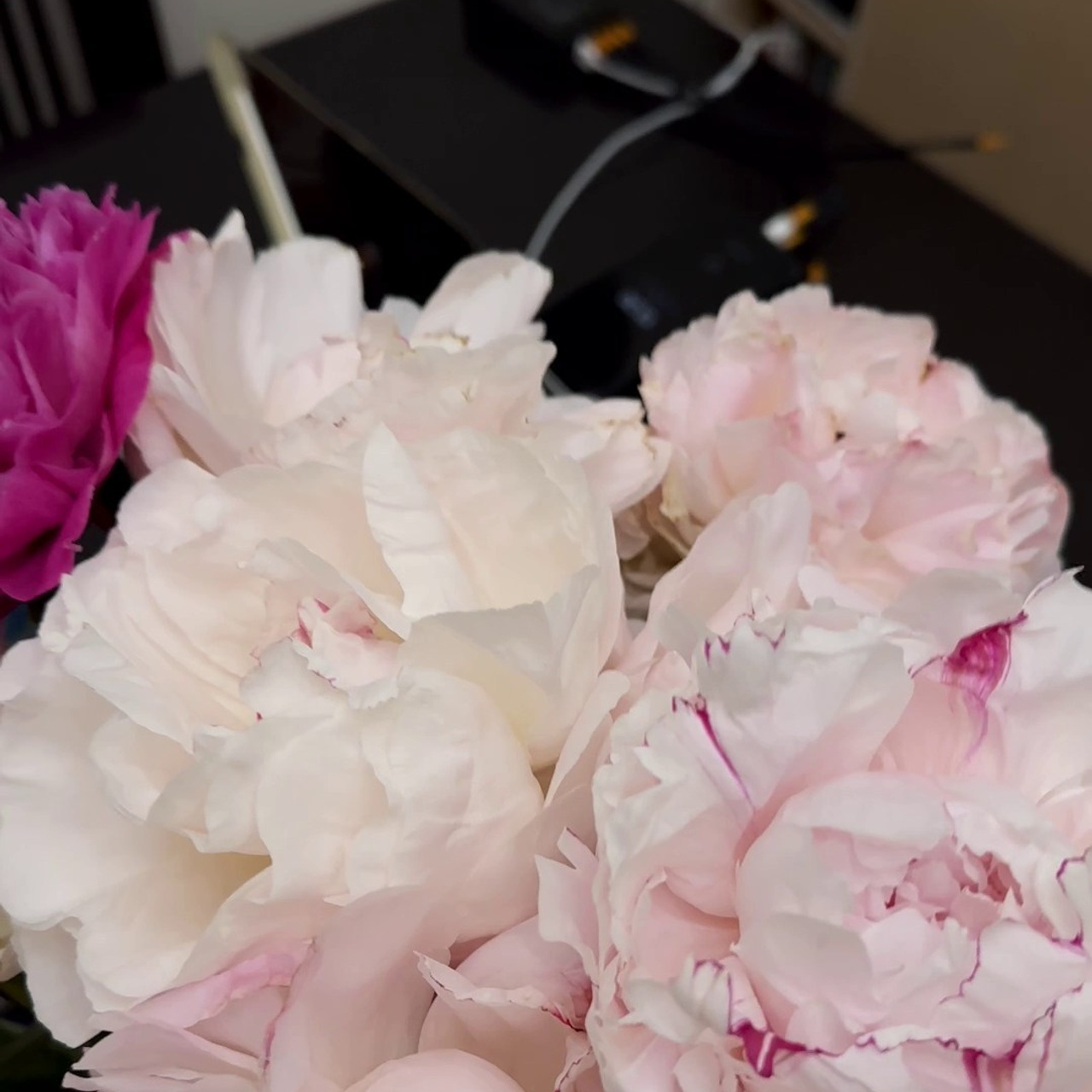 Reviews. Семейный детский фотограф Бляхер Ирина в Израиле