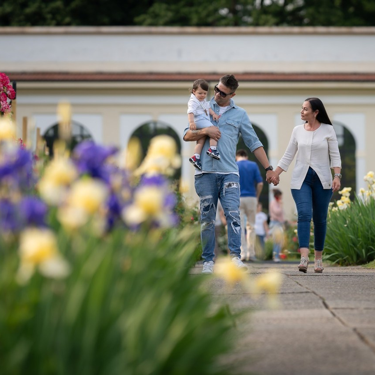 Reviews. Daniel Cosug