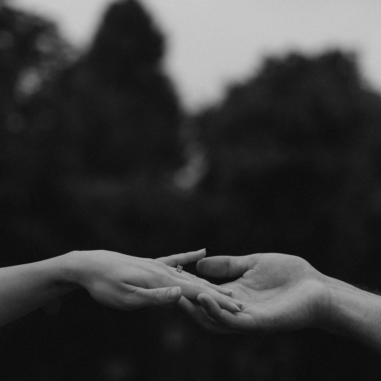 Reviews. Photographer The Netherlands