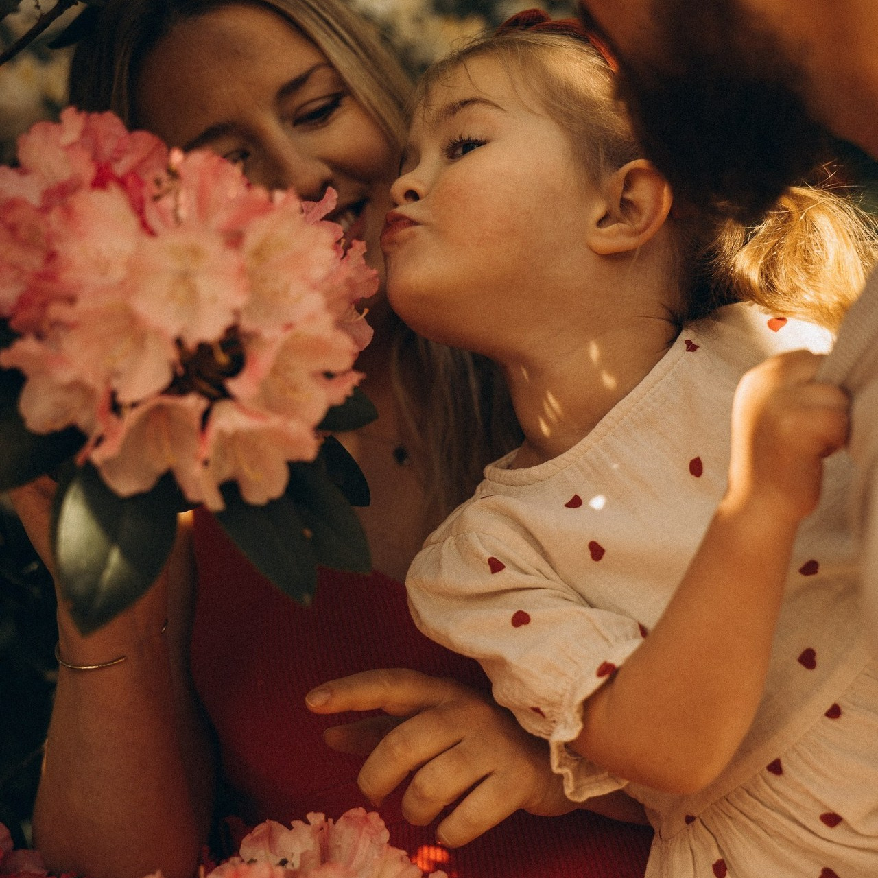 Reviews. Photographer The Netherlands