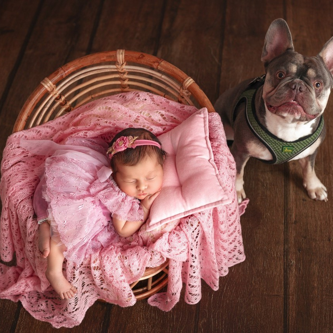 BEWERTUNGEN. Neugeborenen & Babyfotografie Liuba Schelhorn in Stuttgart