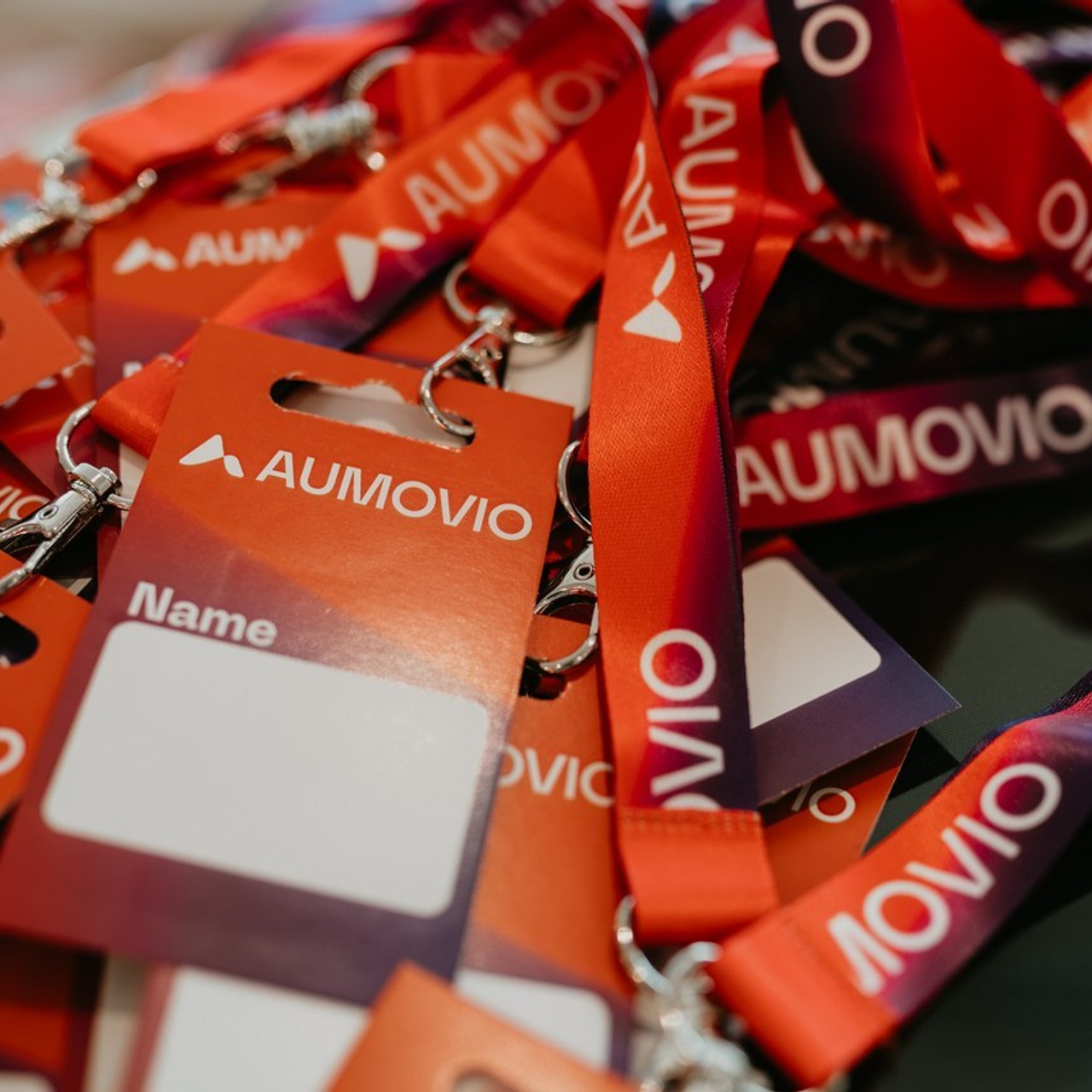 Recenzii. Catalin Brinza