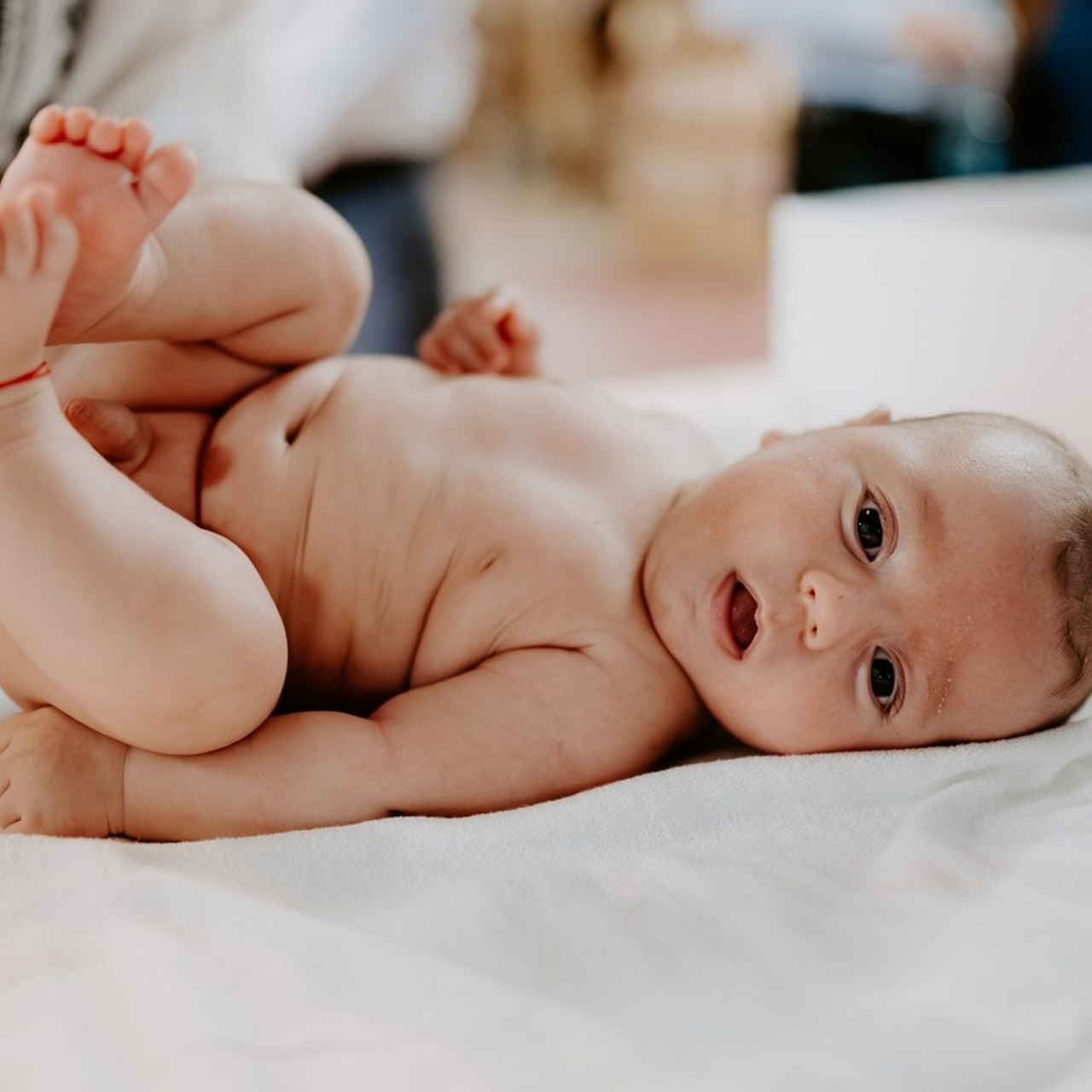 Recenzii. Catalin Brinza