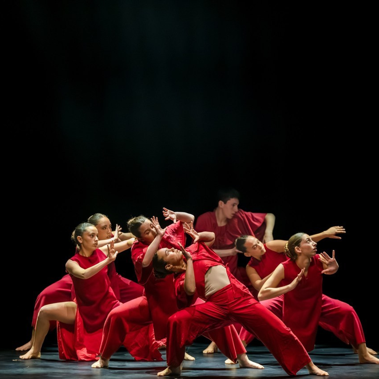 Testimonials. AMIR BUCHNIK PHOTOGRAPHER