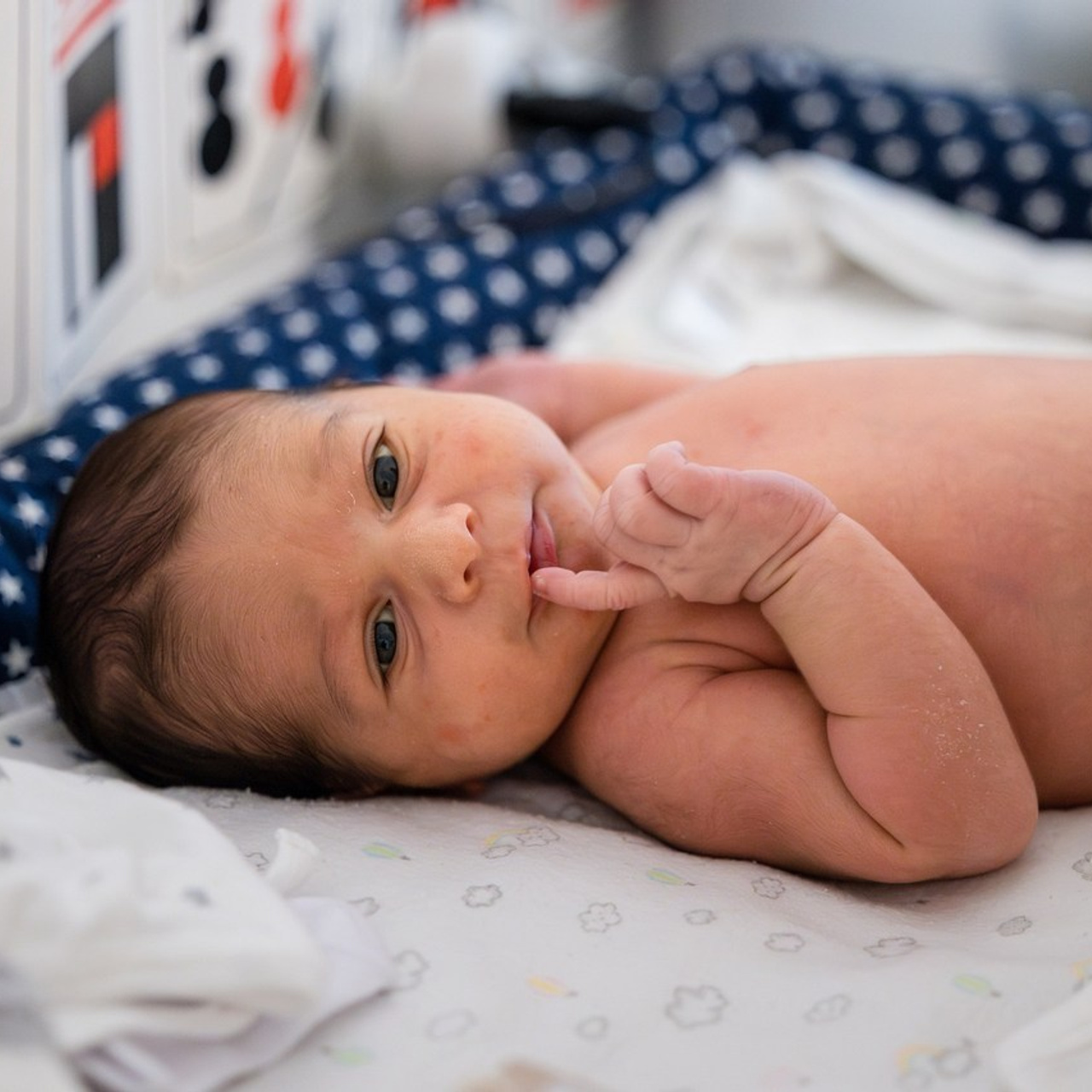 Testimonials. AMIR BUCHNIK PHOTOGRAPHER