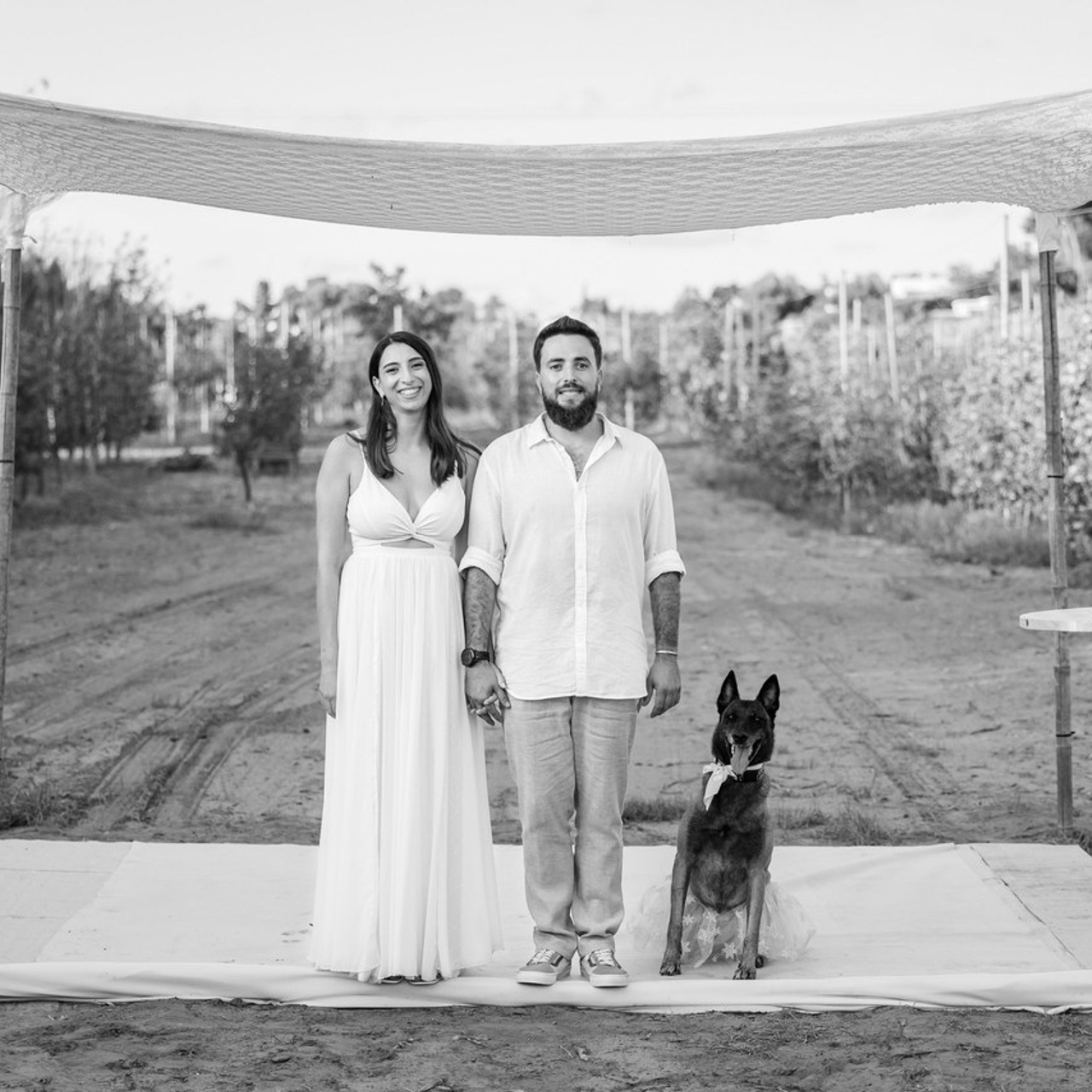 Testimonials. AMIR BUCHNIK PHOTOGRAPHER