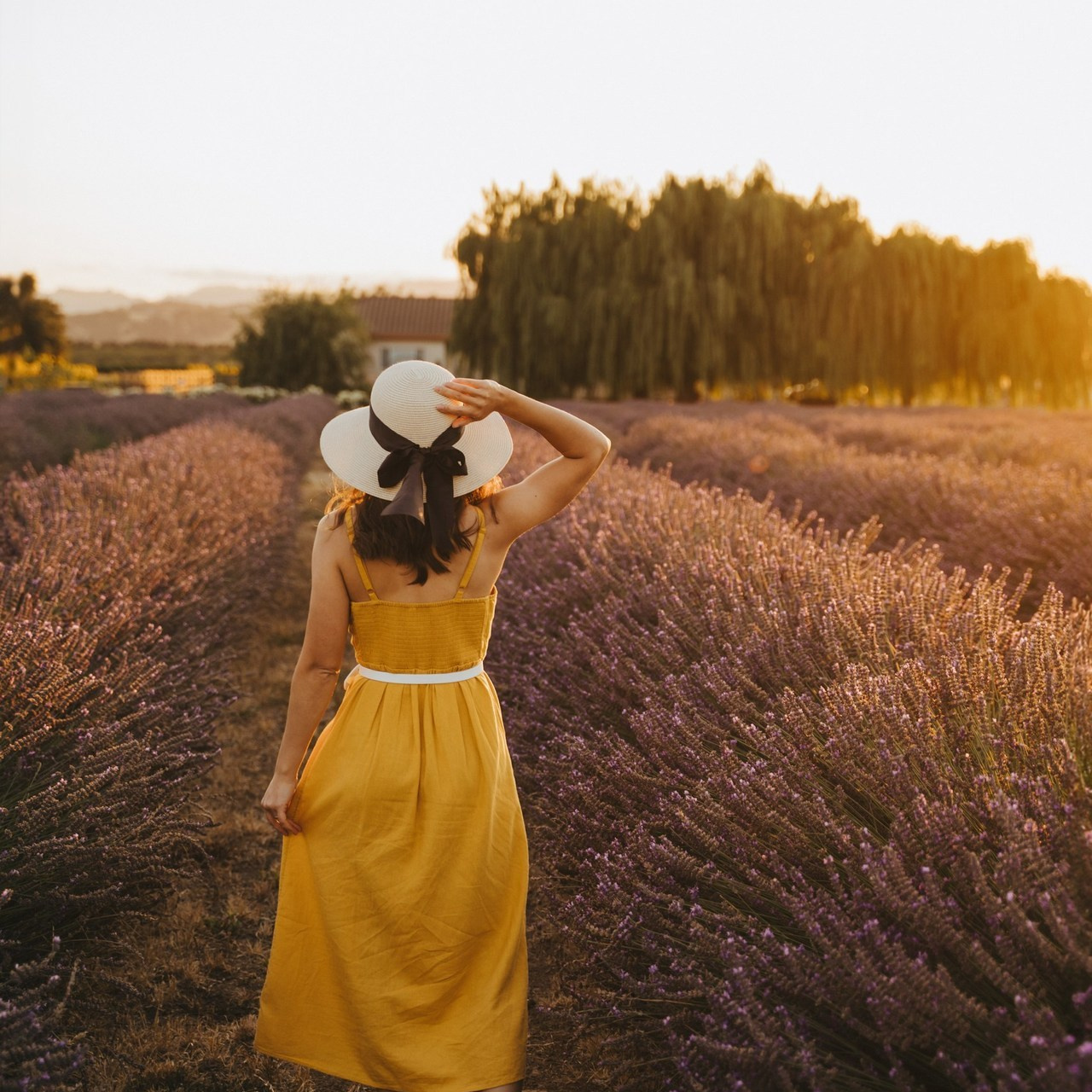 Reviews. Wedding family photographer and videographer California San Francisco Bay Area