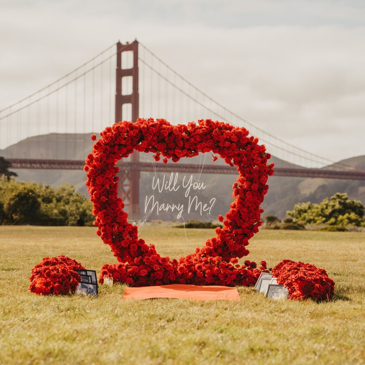 Reviews. Wedding family photographer and videographer California San Francisco Bay Area