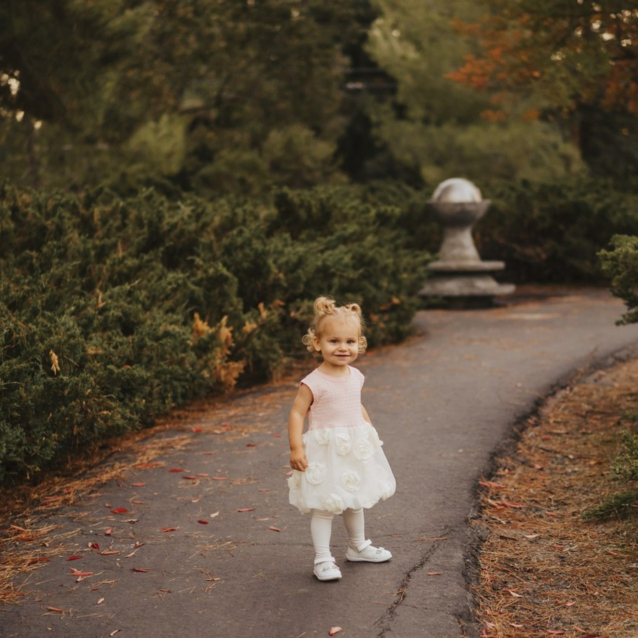 Reviews. Wedding family photographer and videographer California San Francisco Bay Area