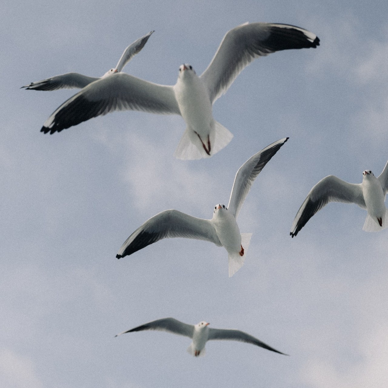 Отзывы. Фотопрогулки в Стамбуле