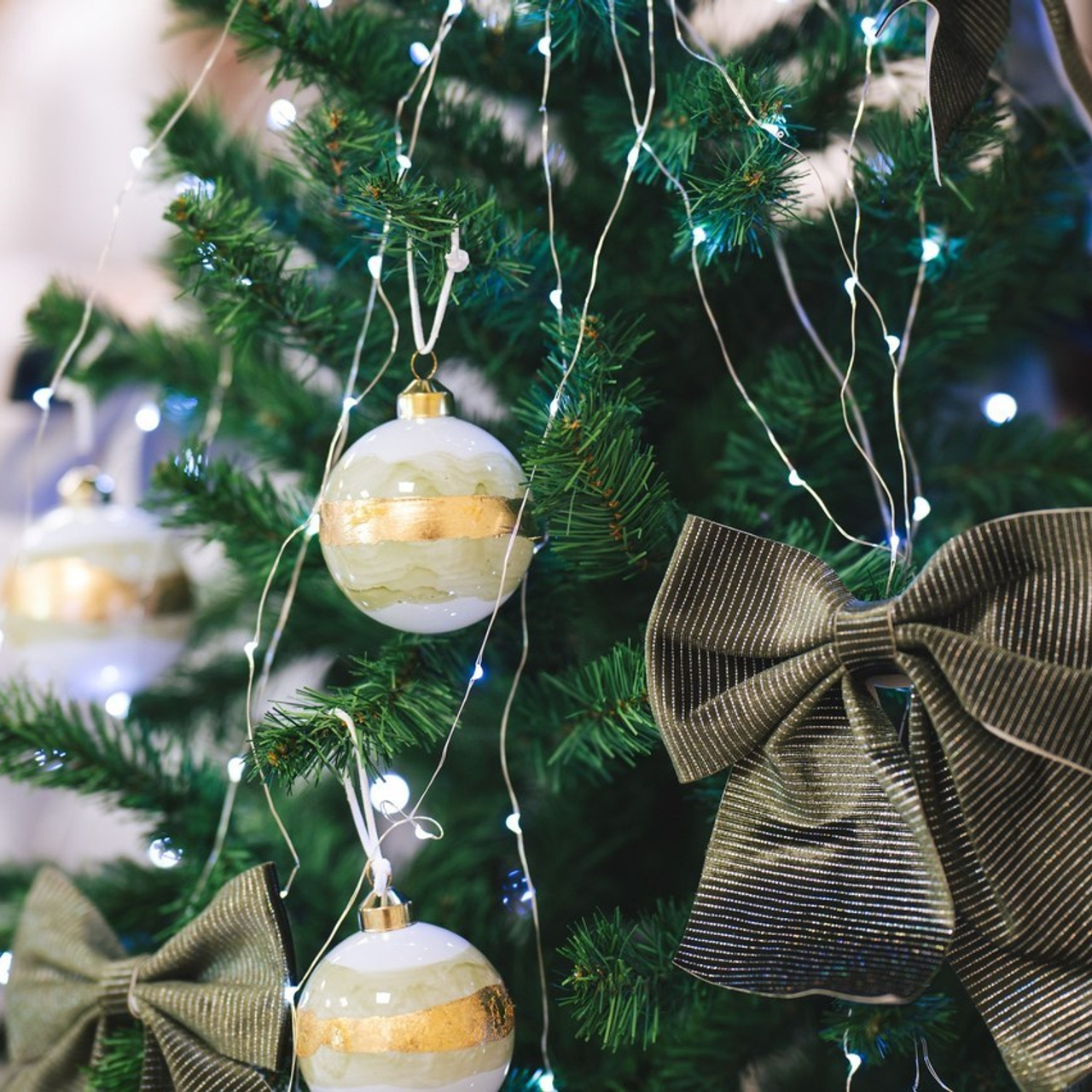 Testimonials. EVA Photography