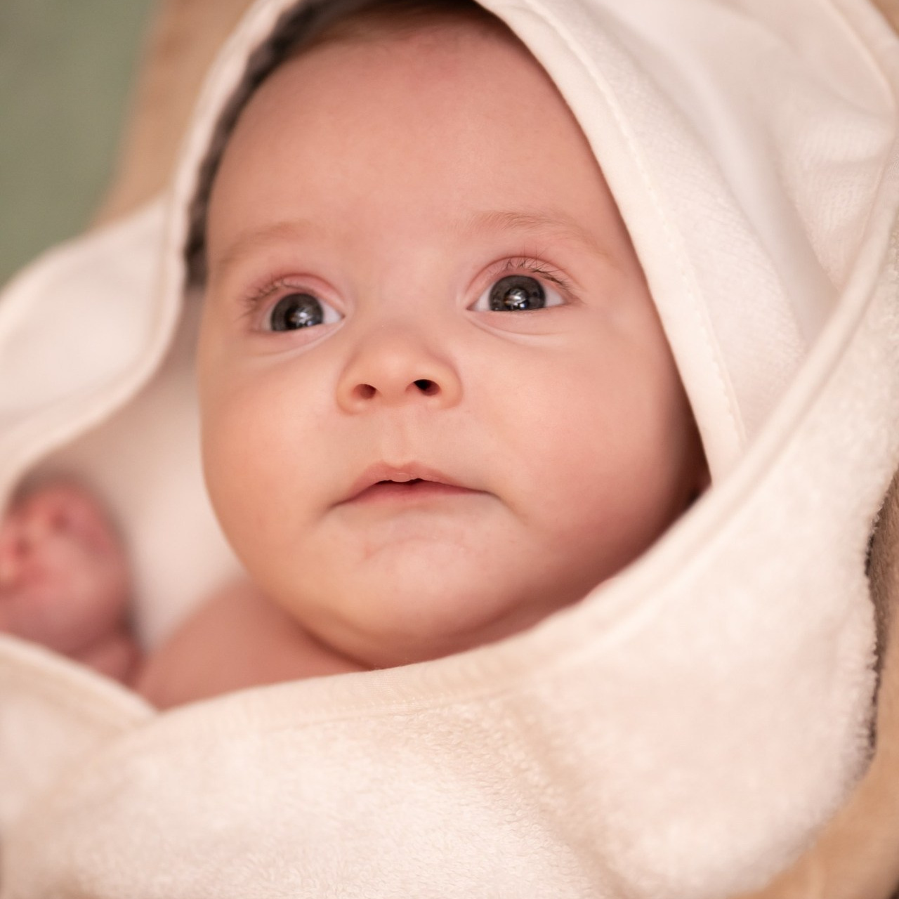 Testimonials. EVA Photography