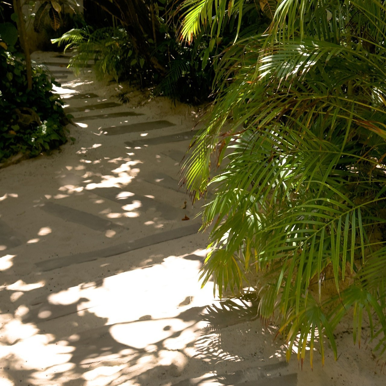 Reviews. Yana Bobrova | Artistic Photography