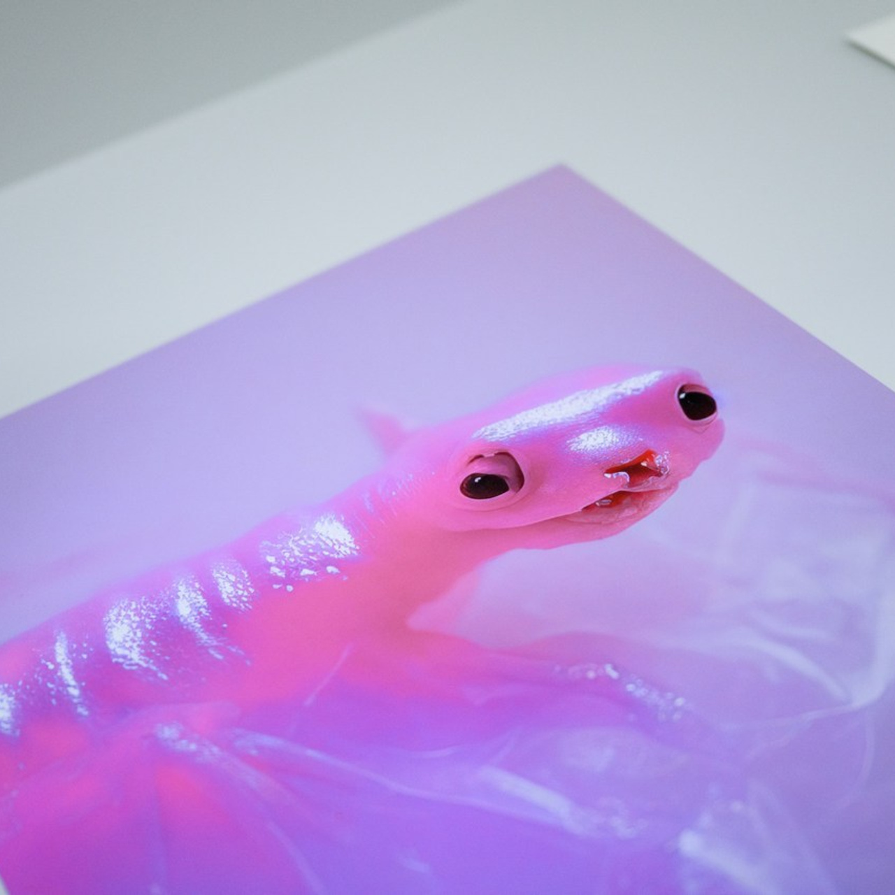 Reviews. Photographer in Luxembourg Tanita