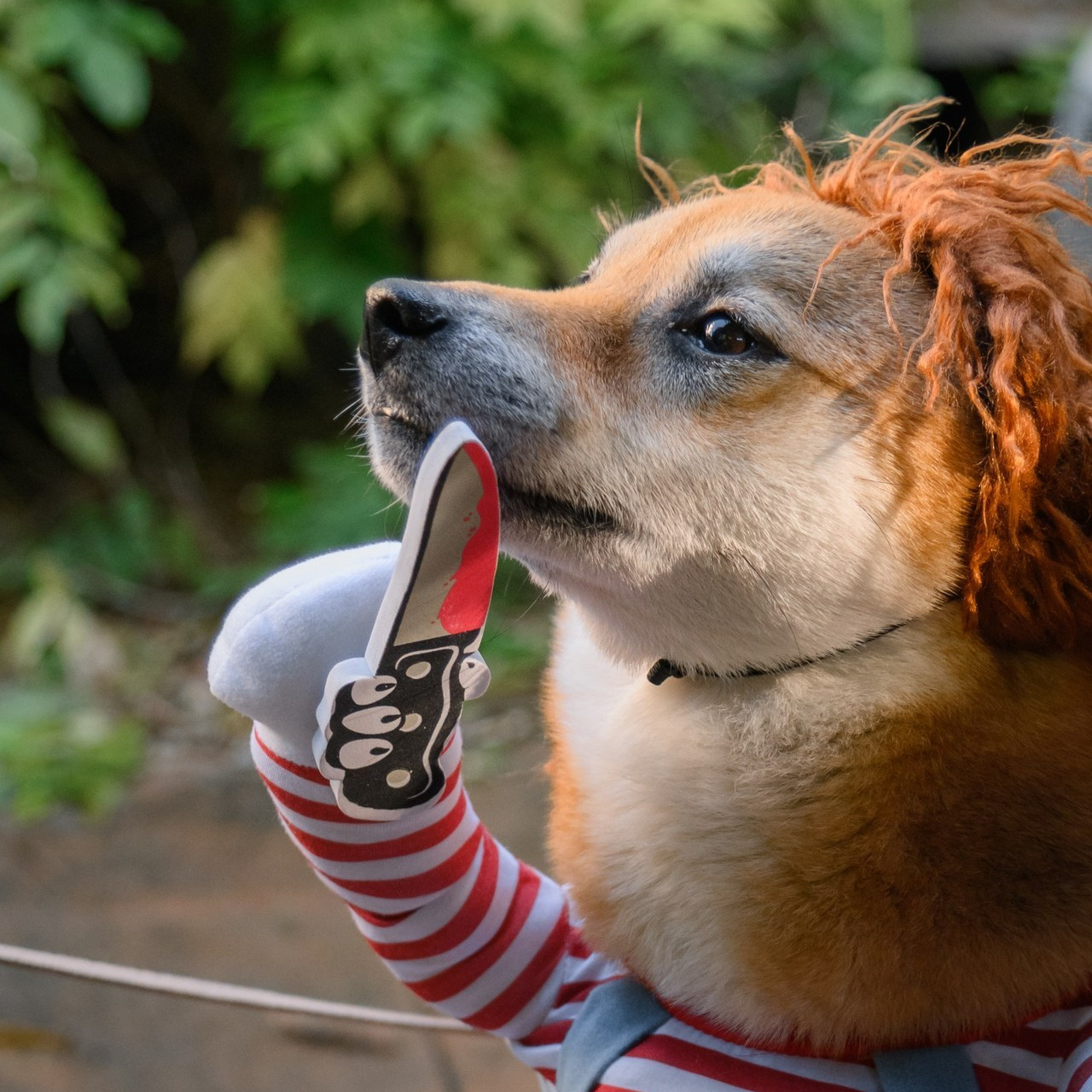 Reviews. Photographer in Luxembourg Tanita