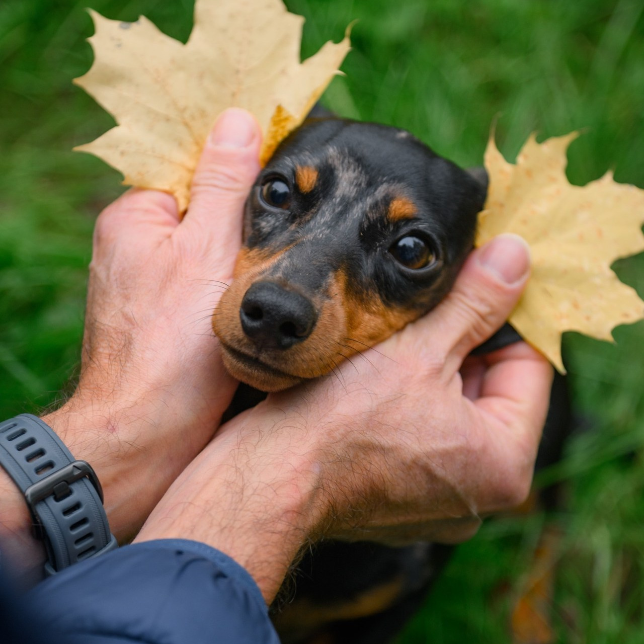 Reviews. Photographer in Luxembourg Tanita