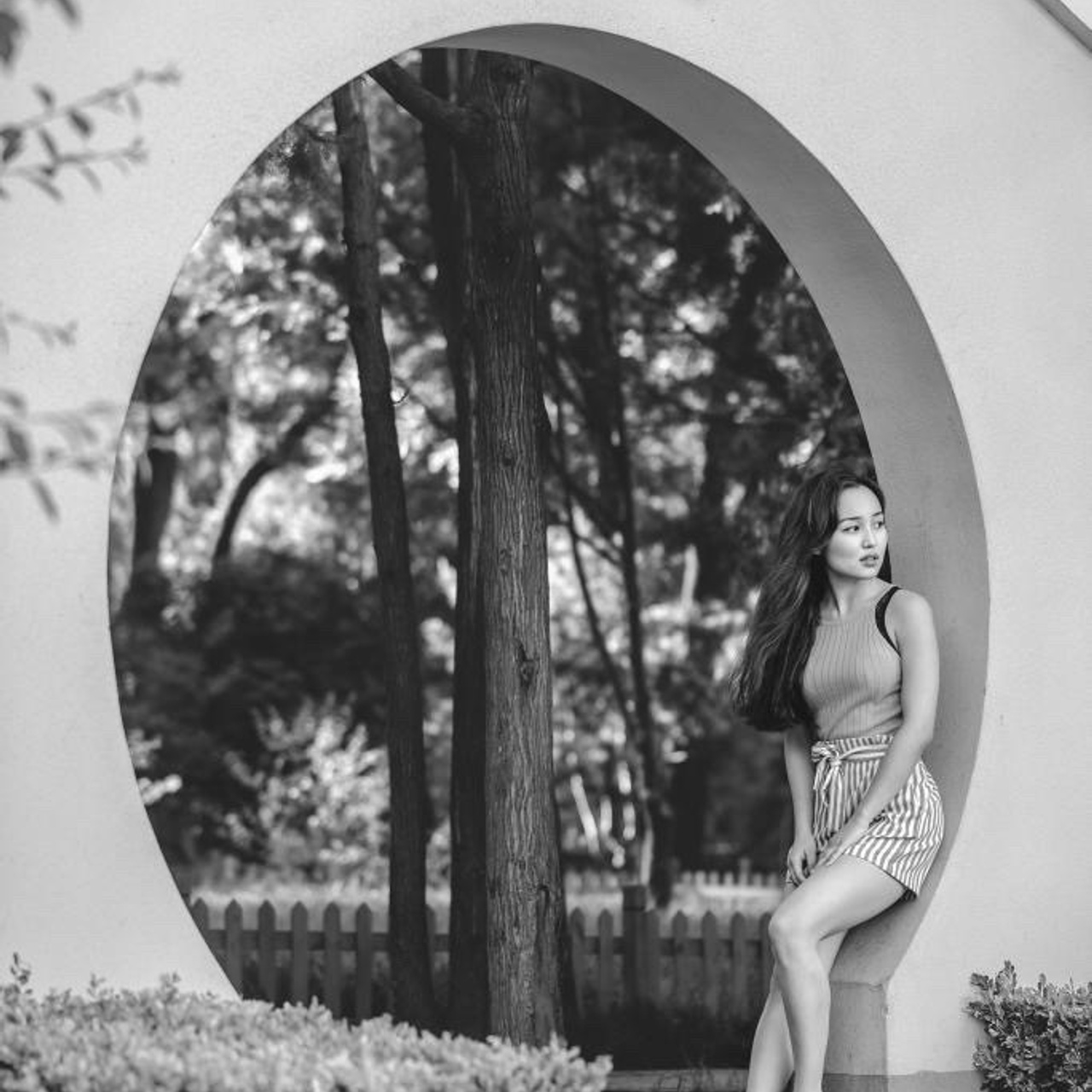 Comentarios. José Sotelo