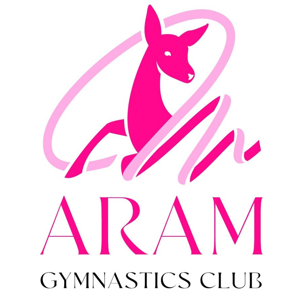 FAQ. Gymnastics and dance photography UAE by Kamilla Khasanova