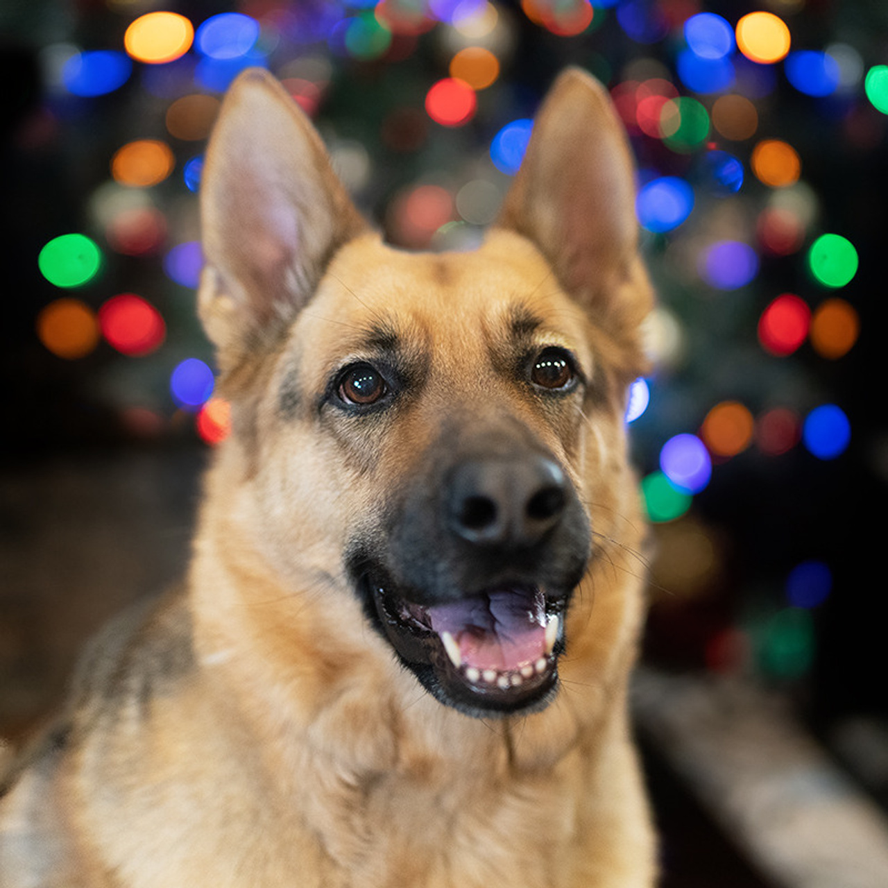 Reviews. Photographer Irina Kozhemyakina. Houston